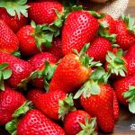 fruit