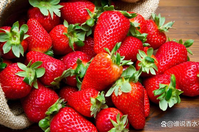 fruit