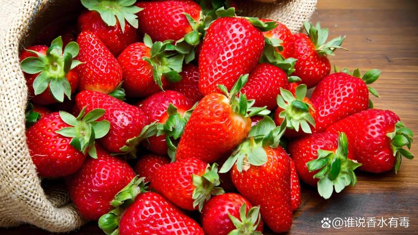 fruit