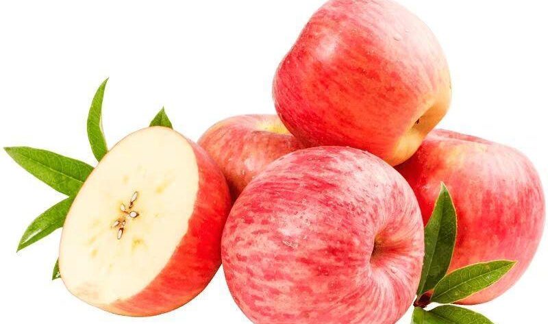 fruit