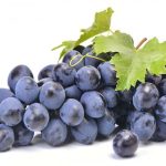 fruit