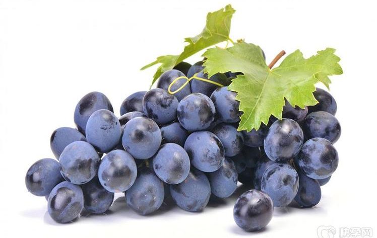 fruit