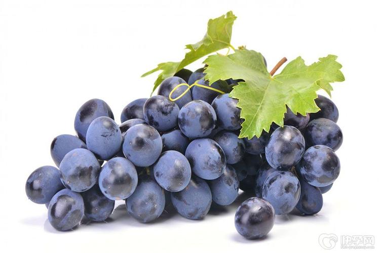 fruit